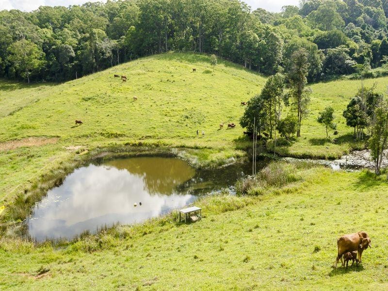 64 Leggetts Loop, Kin Kin QLD 4571