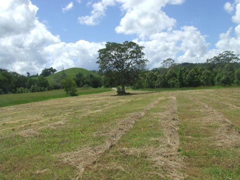 25 Leggetts Loop, Kin Kin QLD 4571