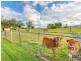 268 Eumundi Kenilworth  Road, Eerwah Vale QLD 4562