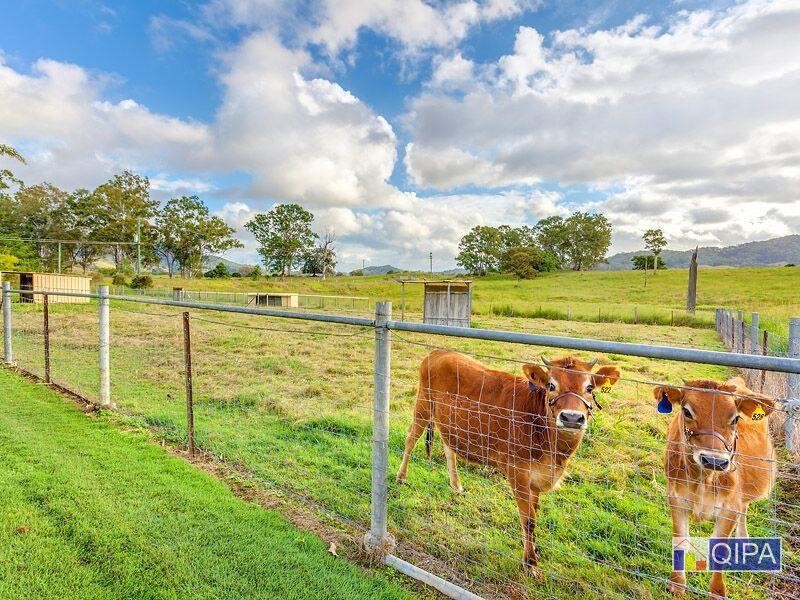 268 Eumundi Kenilworth  Road, Eerwah Vale QLD 4562