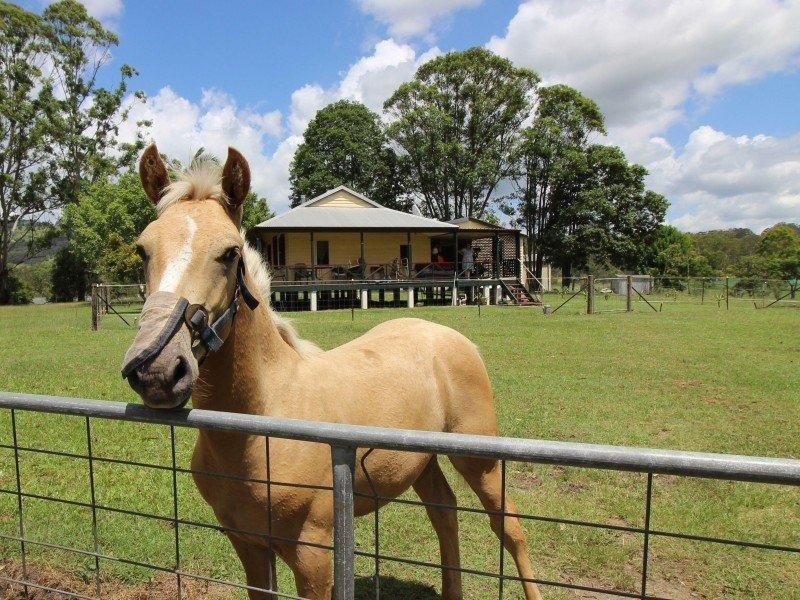 25 Verne Road, Wolvi QLD 4570