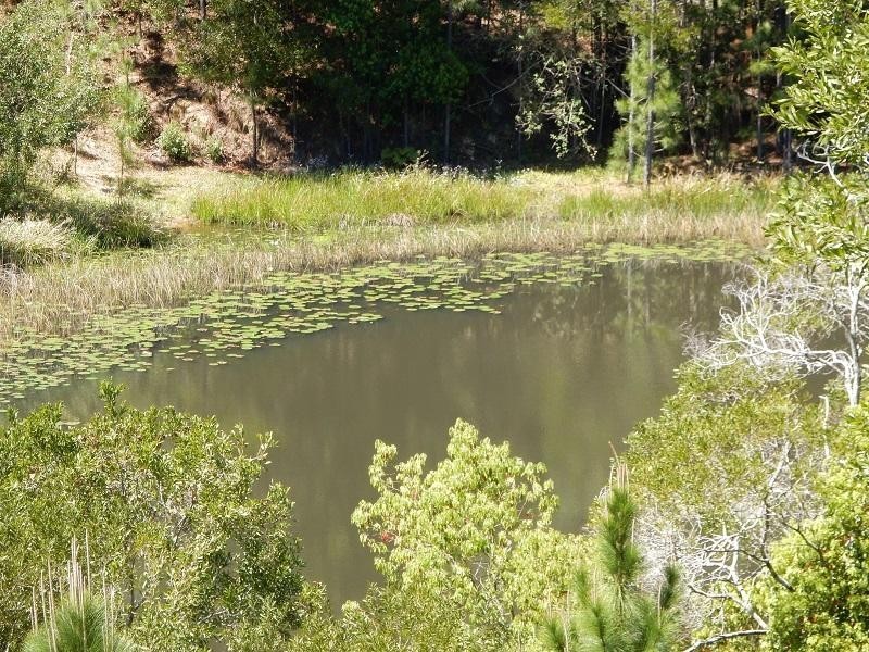 25 Silky Oak Lane, Kin Kin QLD 4571