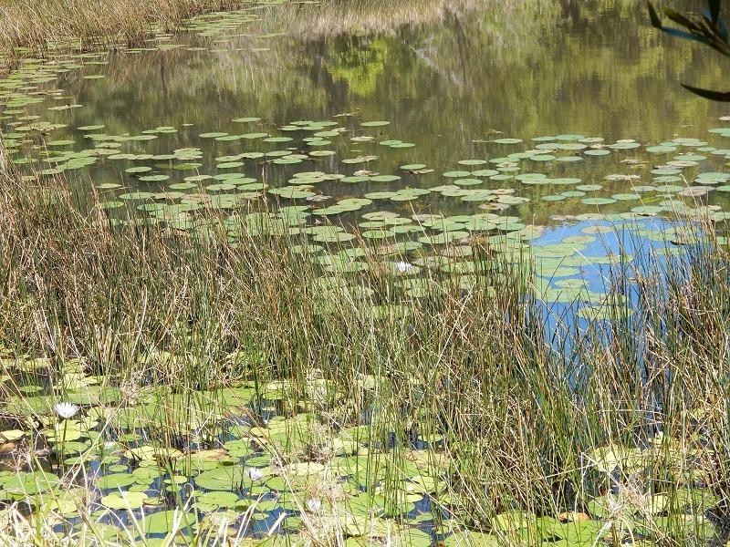 25 Silky Oak Lane, Kin Kin QLD 4571