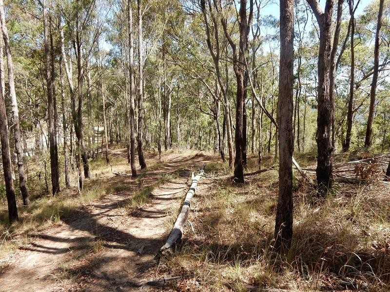 Lot 27 Wolvi Mountain  Road, Wolvi QLD 4570