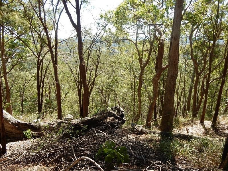 Lot 27 Wolvi Mountain  Road, Wolvi QLD 4570