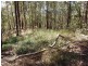 Lot 27 Wolvi Mountain  Road, Wolvi QLD 4570