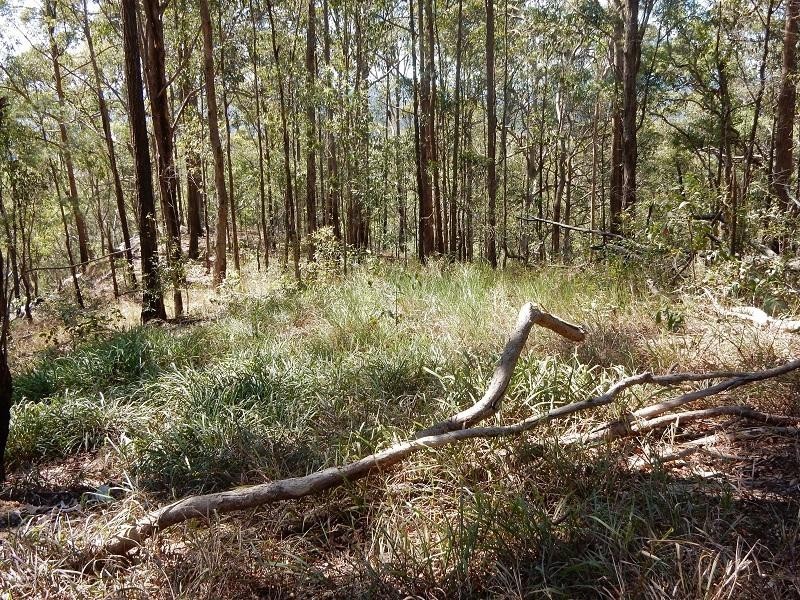 Lot 27 Wolvi Mountain  Road, Wolvi QLD 4570