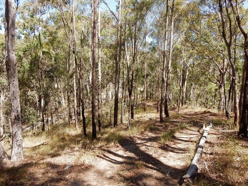Lot 27 Wolvi Mountain  Road, Wolvi QLD 4570