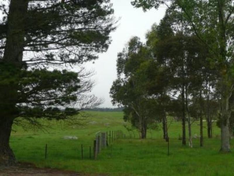 271 Quists  Road, Majors Creek NSW 2622