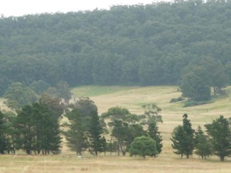 271 Quists  Road, Majors Creek NSW 2622