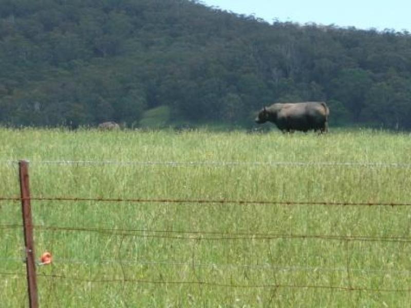 271 Quists  Road, Majors Creek NSW 2622