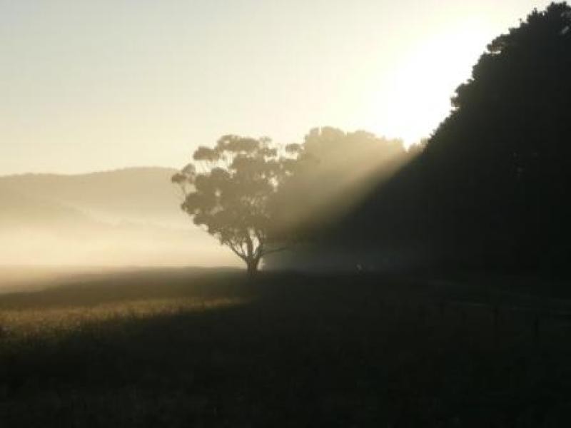 271 Quists  Road, Majors Creek NSW 2622