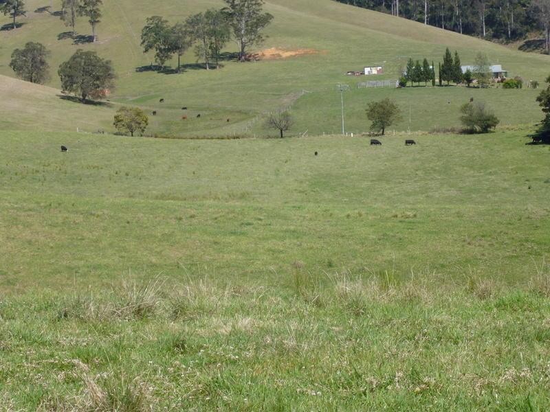 Currowan NSW 2536