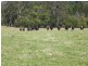 Currowan NSW 2536