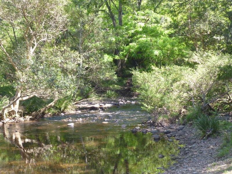 Currowan NSW 2536
