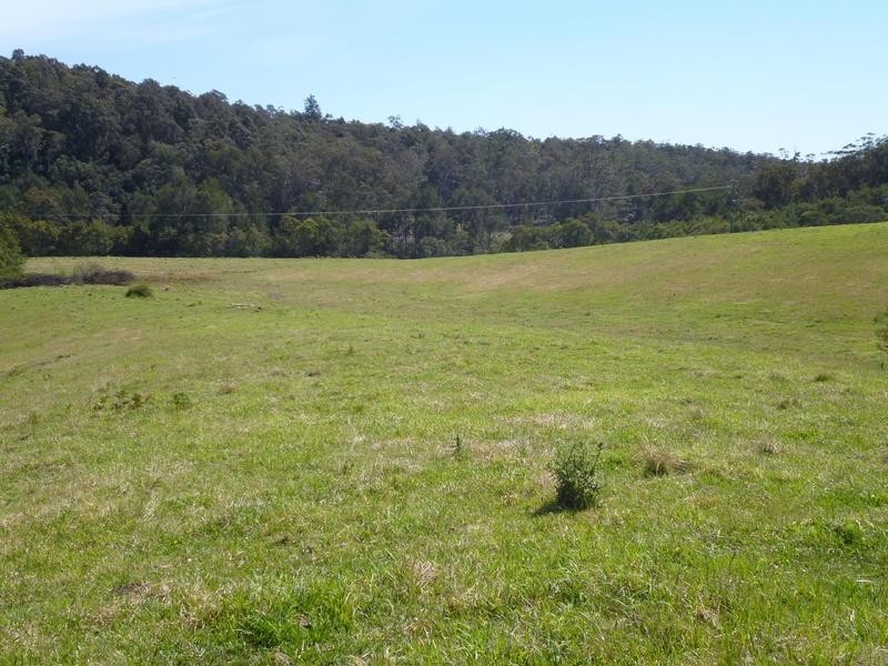 Currowan NSW 2536