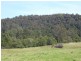 Currowan NSW 2536