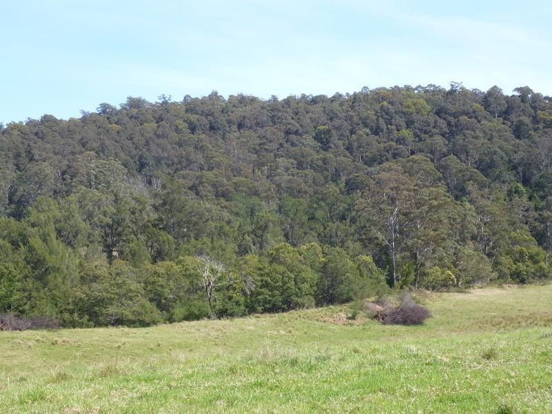 Currowan NSW 2536