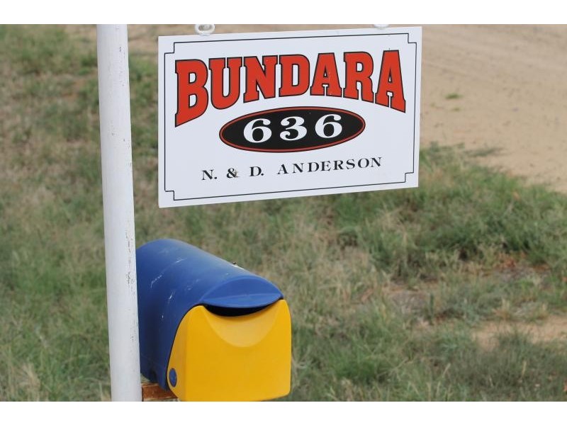 Farm 636 McLarty Road, Coleambally NSW 2707