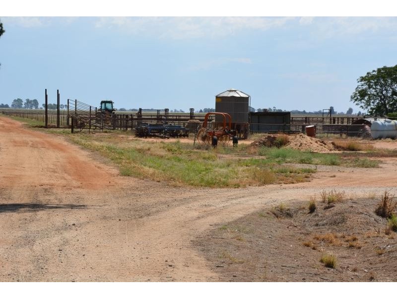 Farm 636 McLarty Road, Coleambally NSW 2707