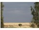 Farm 636 McLarty Road, Coleambally NSW 2707