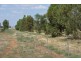 Farm 636 McLarty Road, Coleambally NSW 2707