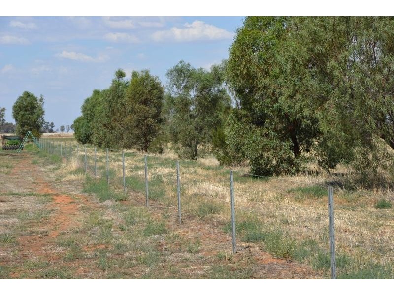 Farm 636 McLarty Road, Coleambally NSW 2707