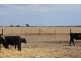 Farm 636 McLarty Road, Coleambally NSW 2707