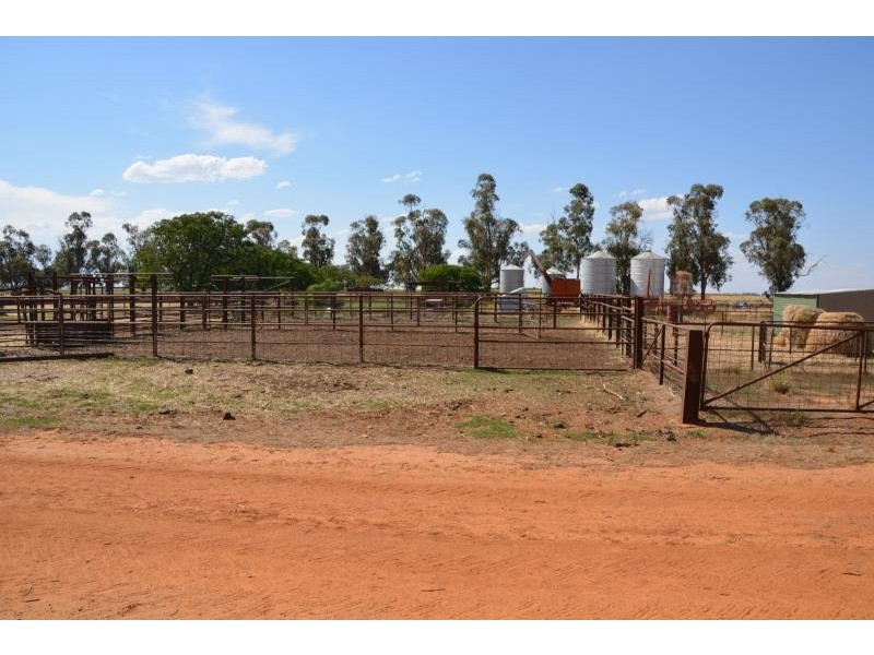 Farm 636 McLarty Road, Coleambally NSW 2707