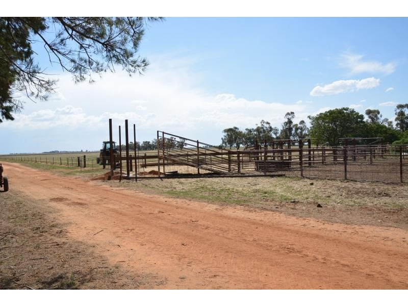 Farm 636 McLarty Road, Coleambally NSW 2707
