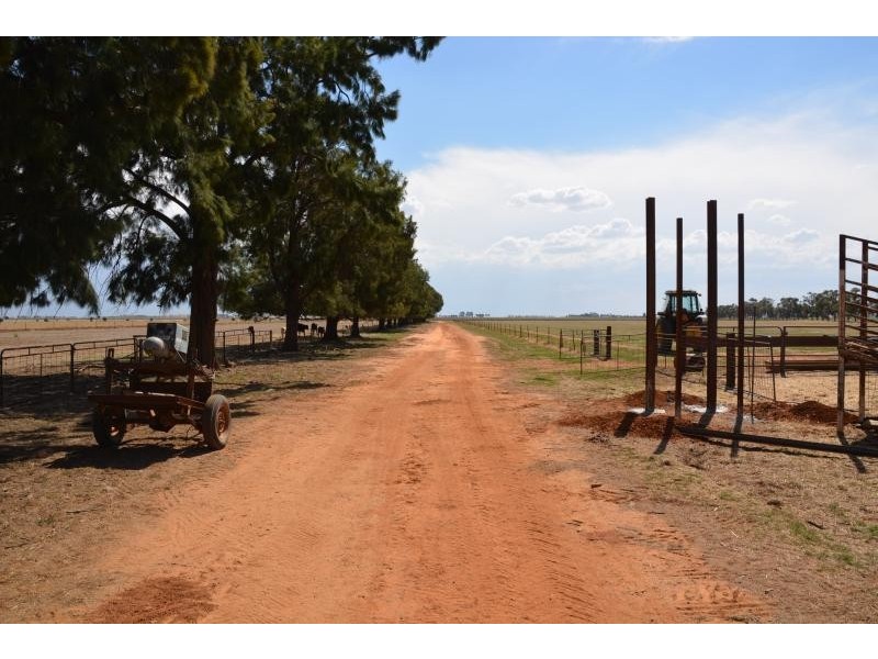 Farm 636 McLarty Road, Coleambally NSW 2707