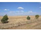 Farm 636 McLarty Road, Coleambally NSW 2707