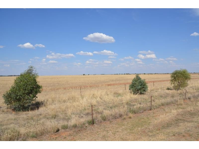Farm 636 McLarty Road, Coleambally NSW 2707