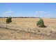 Farm 636 McLarty Road, Coleambally NSW 2707