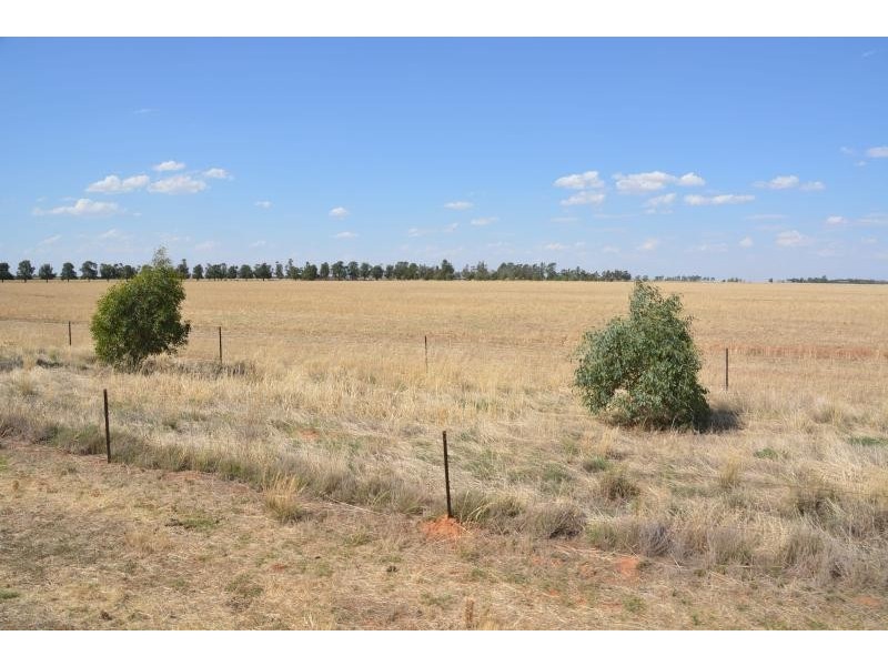 Farm 636 McLarty Road, Coleambally NSW 2707