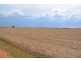Farm 636 McLarty Road, Coleambally NSW 2707