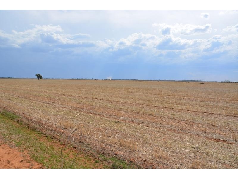 Farm 636 McLarty Road, Coleambally NSW 2707