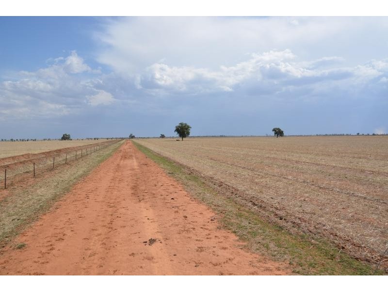 Farm 636 McLarty Road, Coleambally NSW 2707