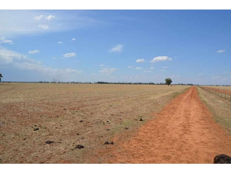 Farm 636 McLarty Road, Coleambally NSW 2707