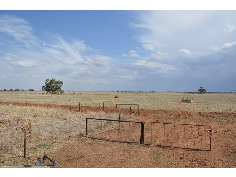 Farm 636 McLarty Road, Coleambally NSW 2707