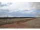 Farm 636 McLarty Road, Coleambally NSW 2707