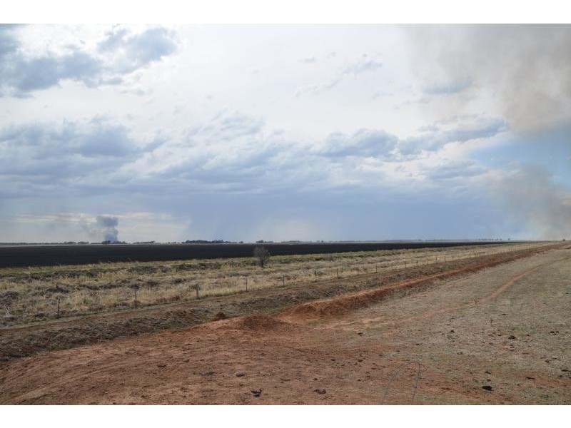 Farm 636 McLarty Road, Coleambally NSW 2707