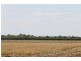 Farm 636 McLarty Road, Coleambally NSW 2707