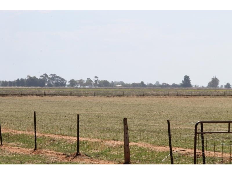 Farm 636 McLarty Road, Coleambally NSW 2707