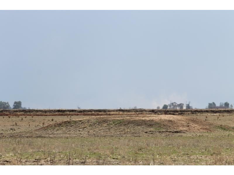 Farm 636 McLarty Road, Coleambally NSW 2707