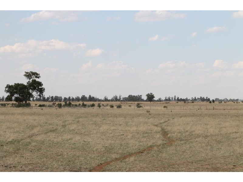 Farm 636 McLarty Road, Coleambally NSW 2707