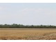 Farm 636 McLarty Road, Coleambally NSW 2707