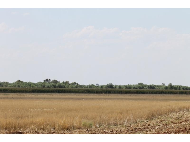 Farm 636 McLarty Road, Coleambally NSW 2707