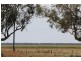 Farm 636 McLarty Road, Coleambally NSW 2707
