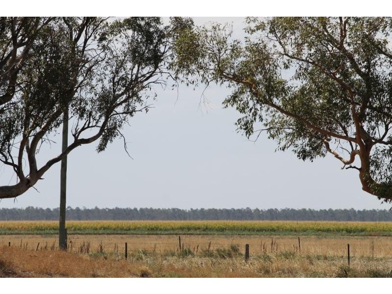 Farm 636 McLarty Road, Coleambally NSW 2707